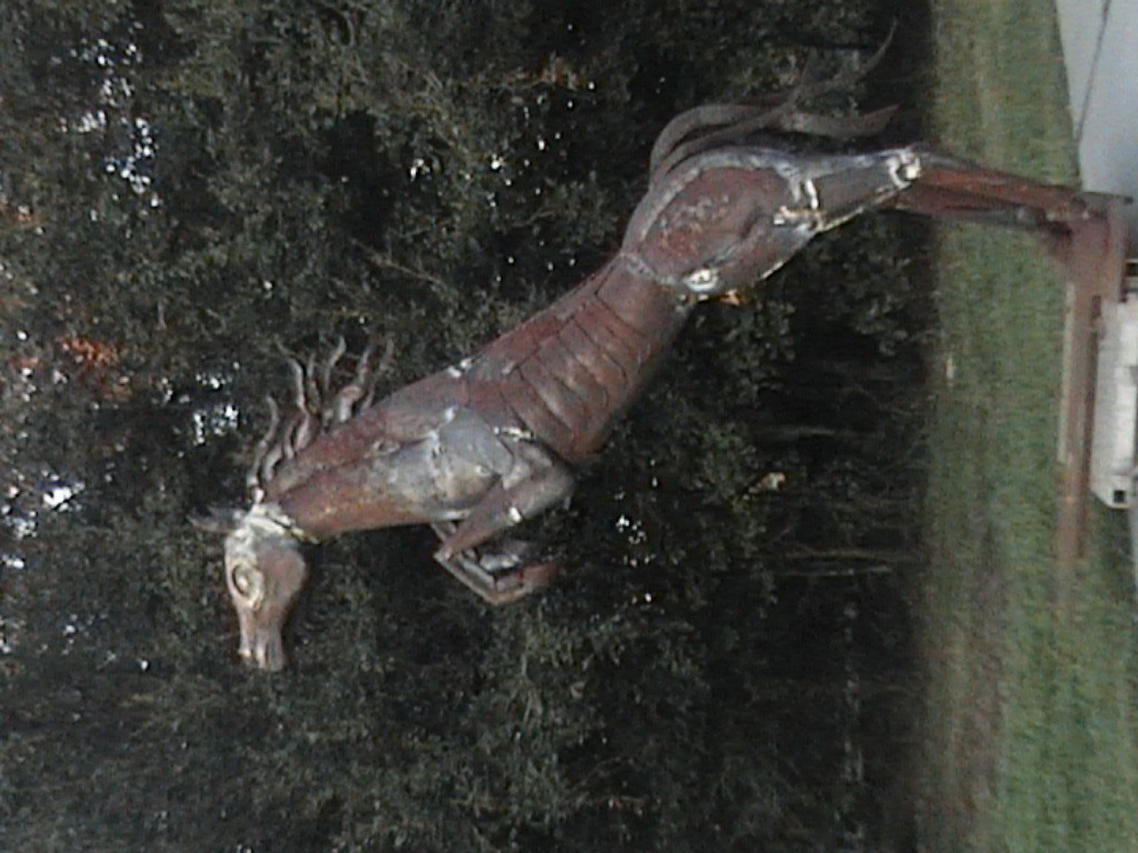 DVC01103.jpg