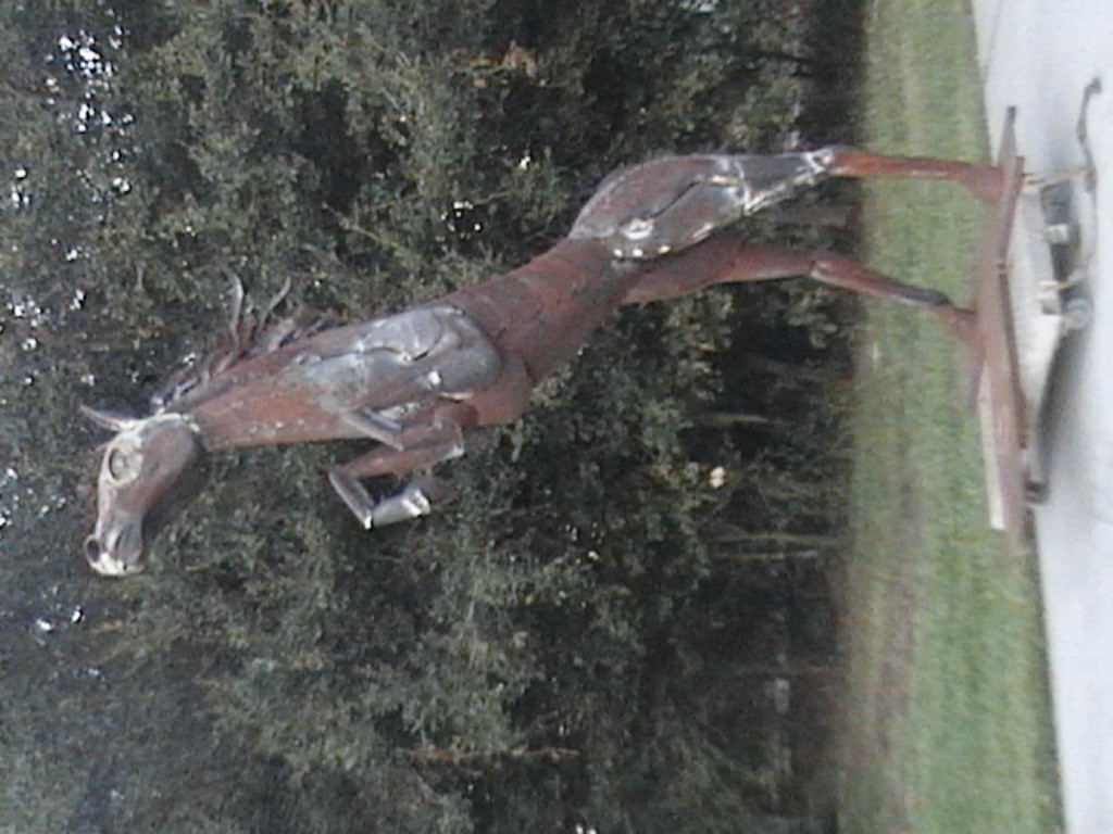 DVC01109.jpg