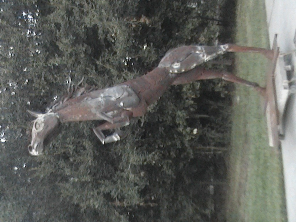 DVC01110.jpg
