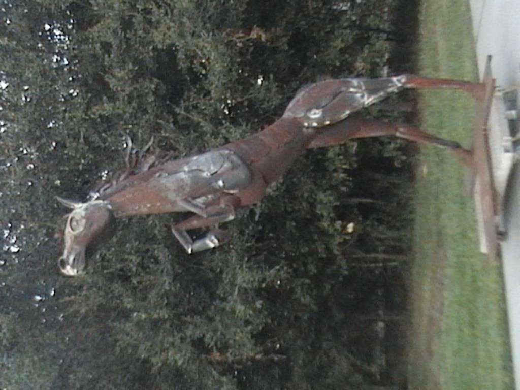 DVC01111.jpg