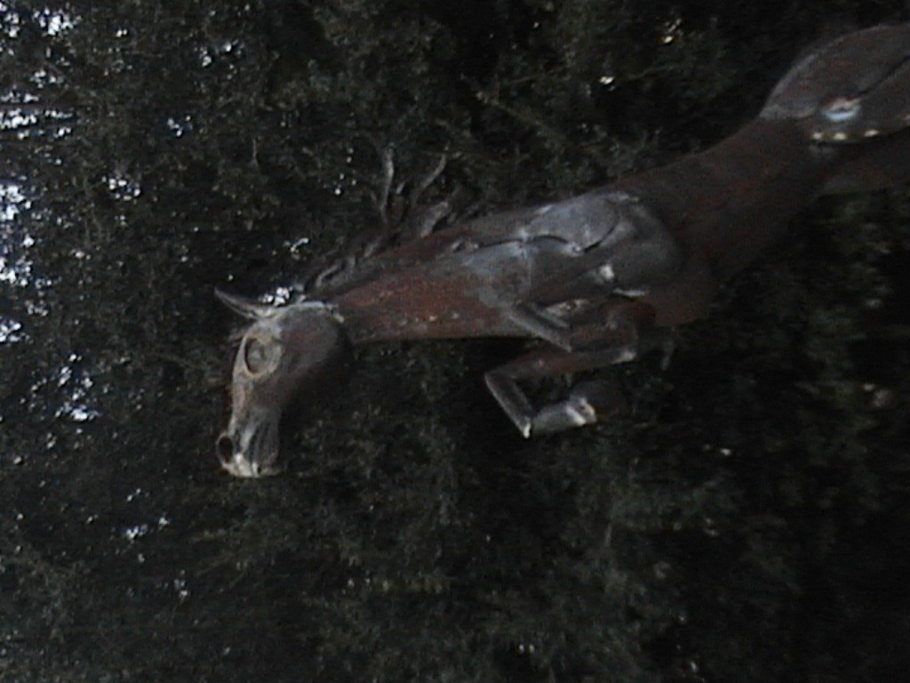 DVC01112.jpg