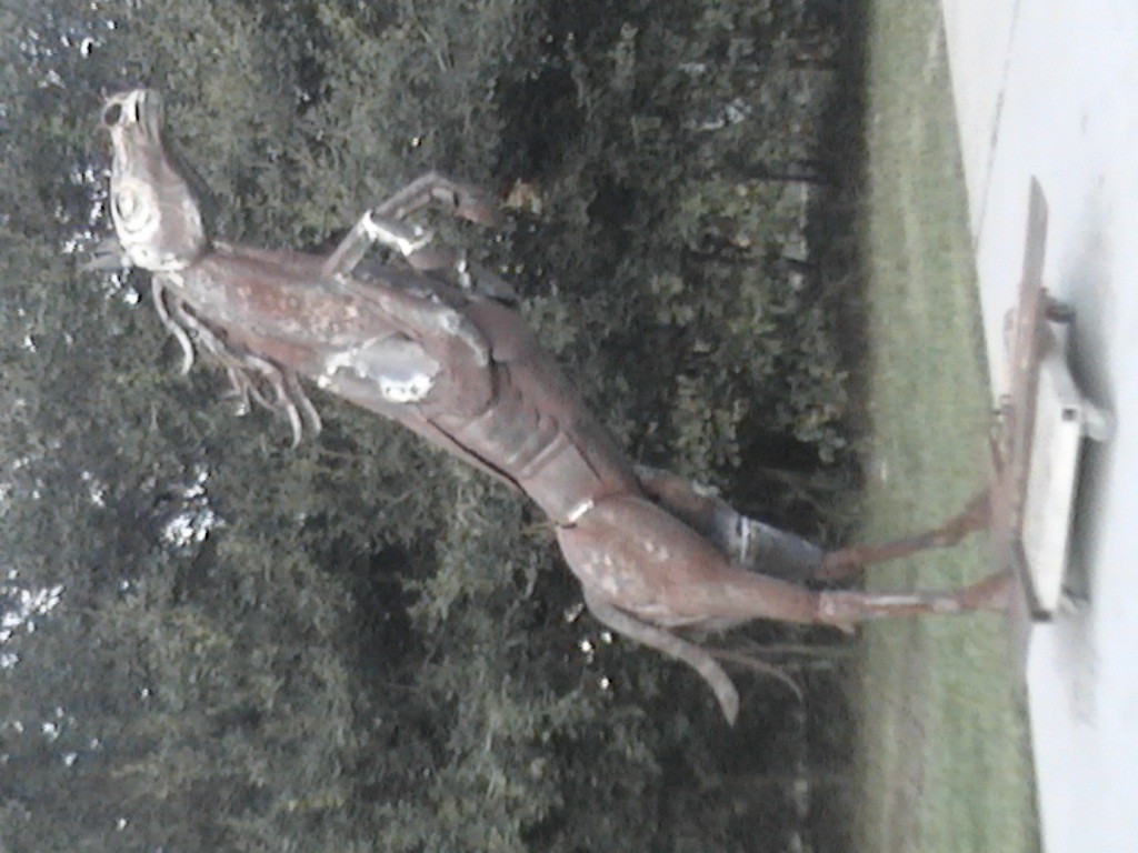 DVC01113.jpg