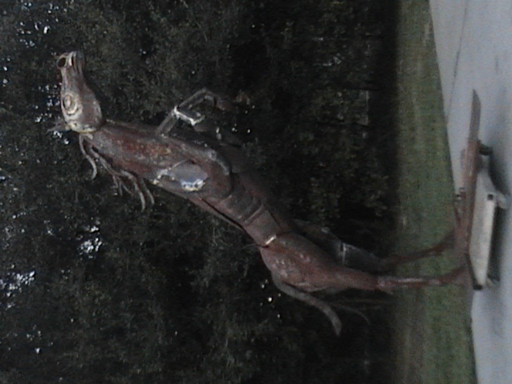 DVC01114.jpg