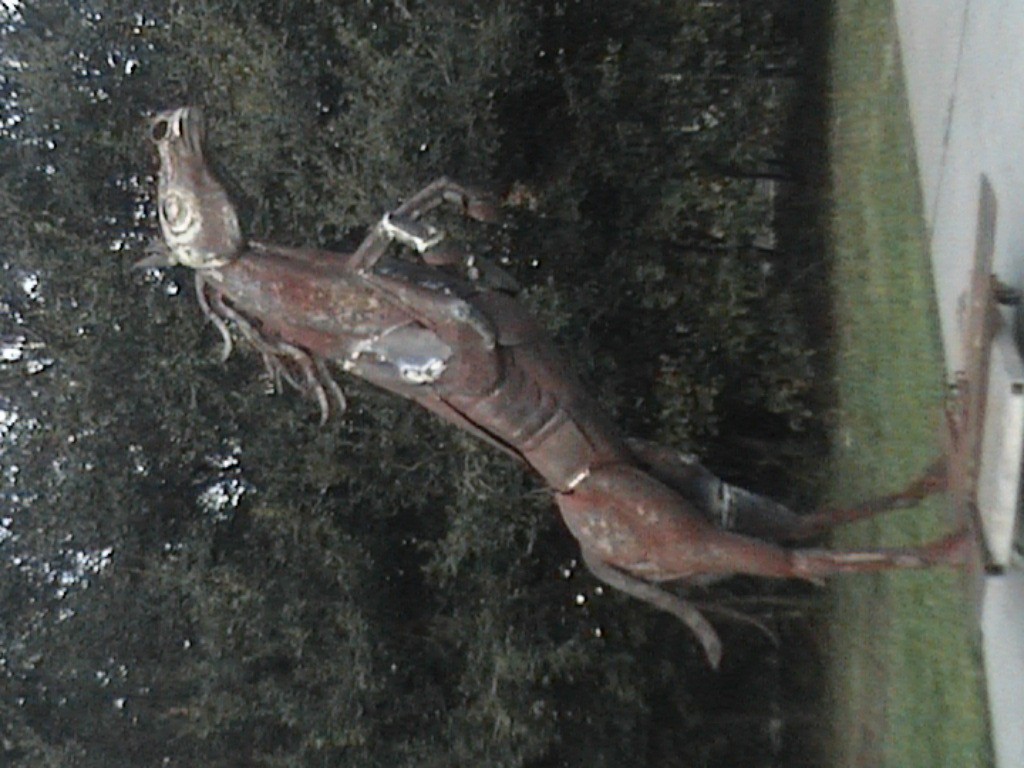 DVC01115.jpg