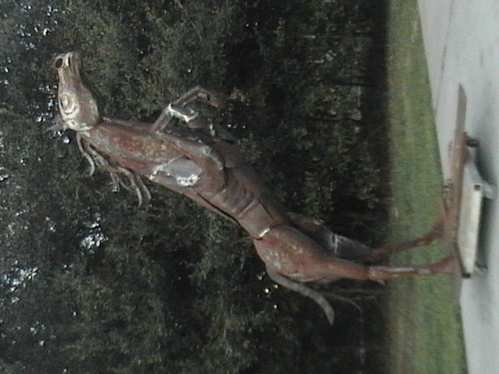 DVC01116.jpg
