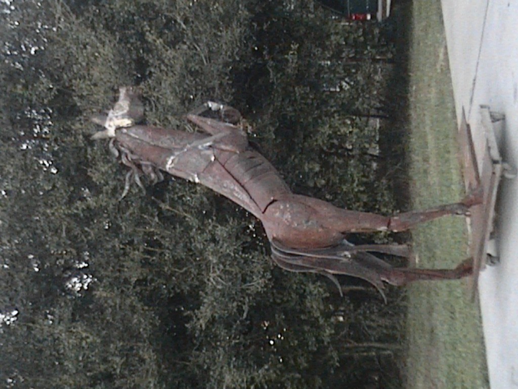 DVC01121.jpg