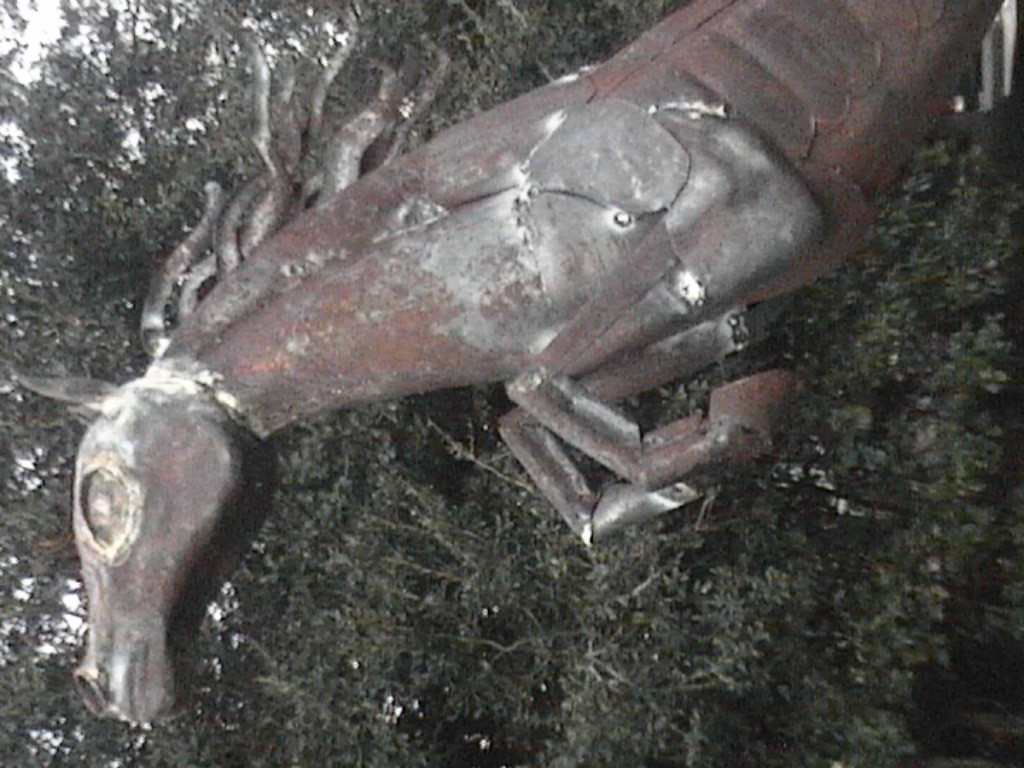 DVC01126.jpg