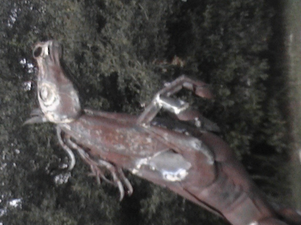 DVC01128.jpg