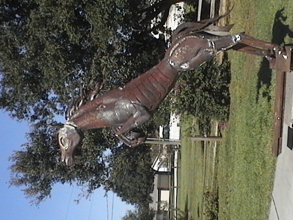 DVC01138.jpg