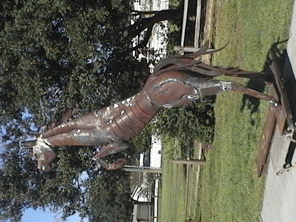 DVC01141.jpg