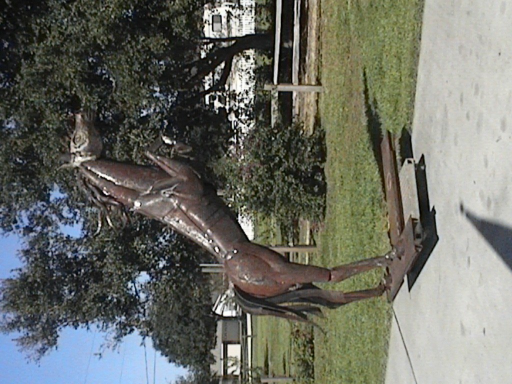 DVC01142.jpg