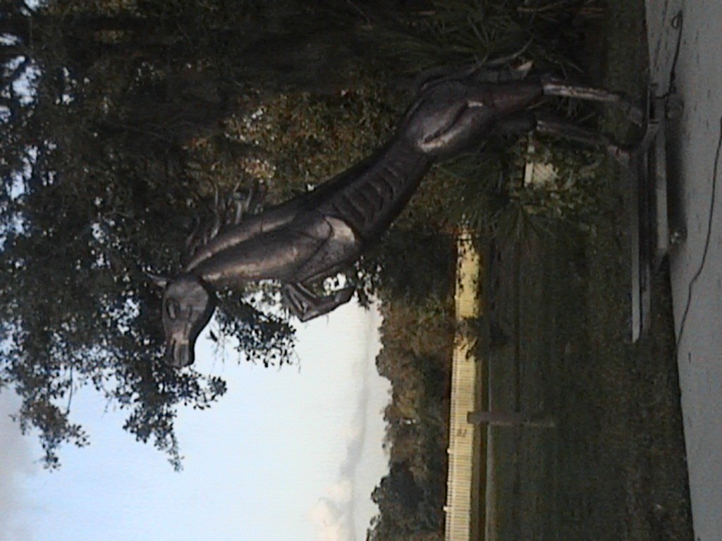 DVC01188.jpg