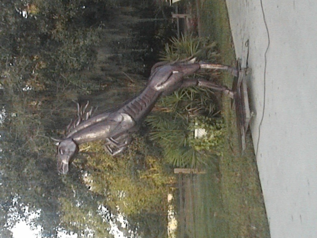 DVC01189.jpg