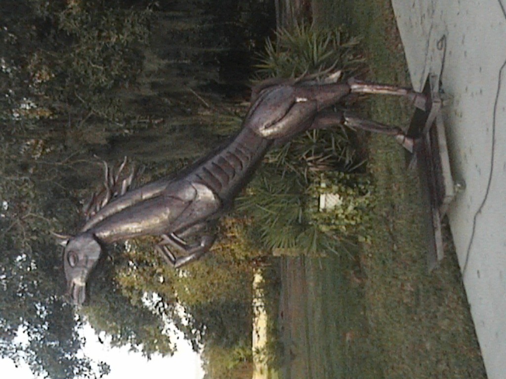 DVC01190.jpg