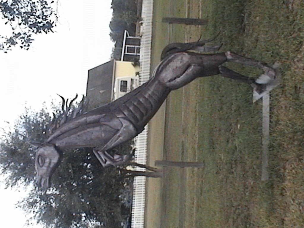 DVC01191.jpg