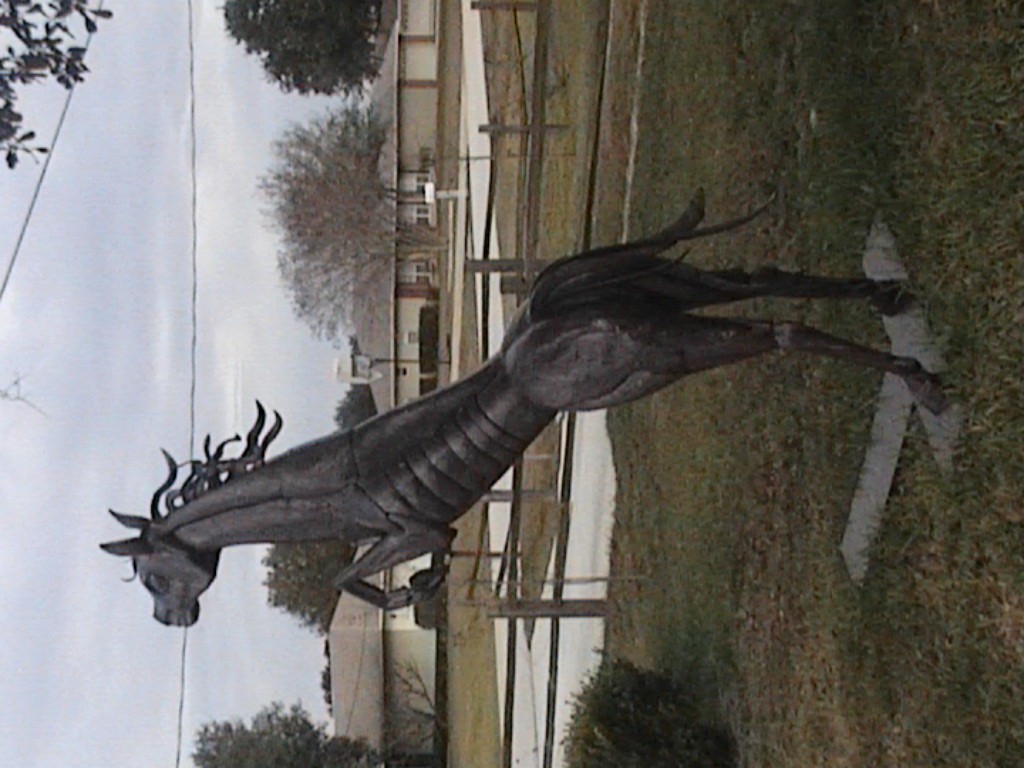 DVC01192.jpg