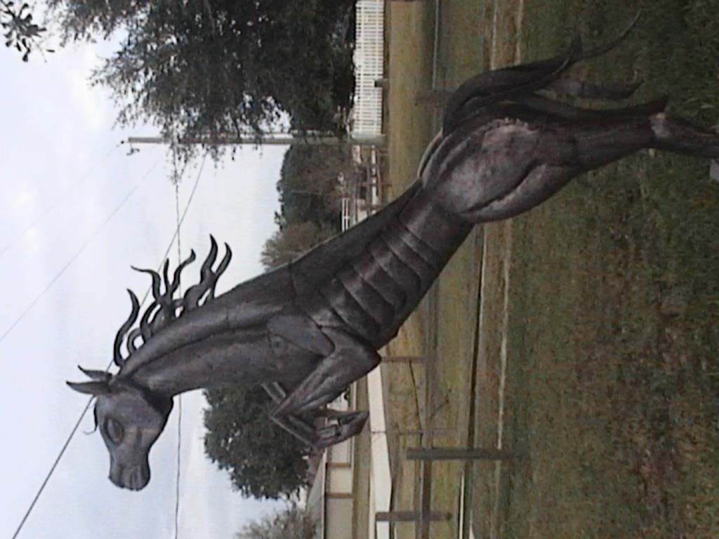 DVC01193.jpg
