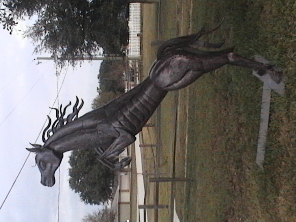 DVC01194.jpg
