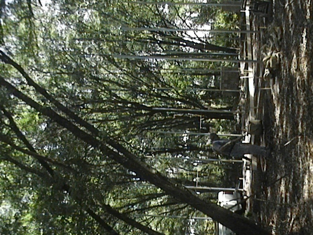 DVC01228.jpg
