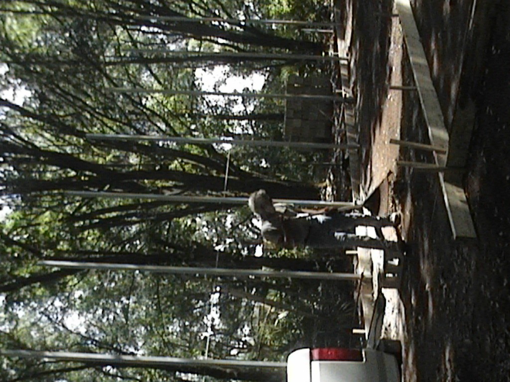 DVC01232.jpg