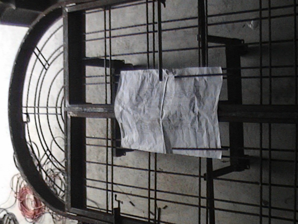 DVC01281.jpg
