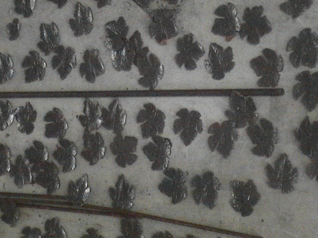 DVC01372.jpg