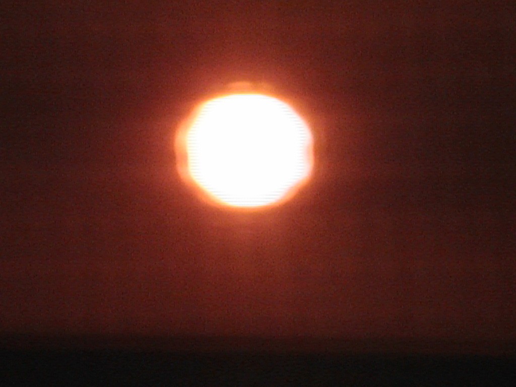 DVC01385.jpg