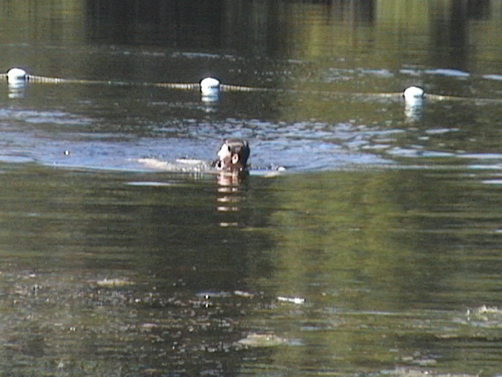 DVC01405.jpg