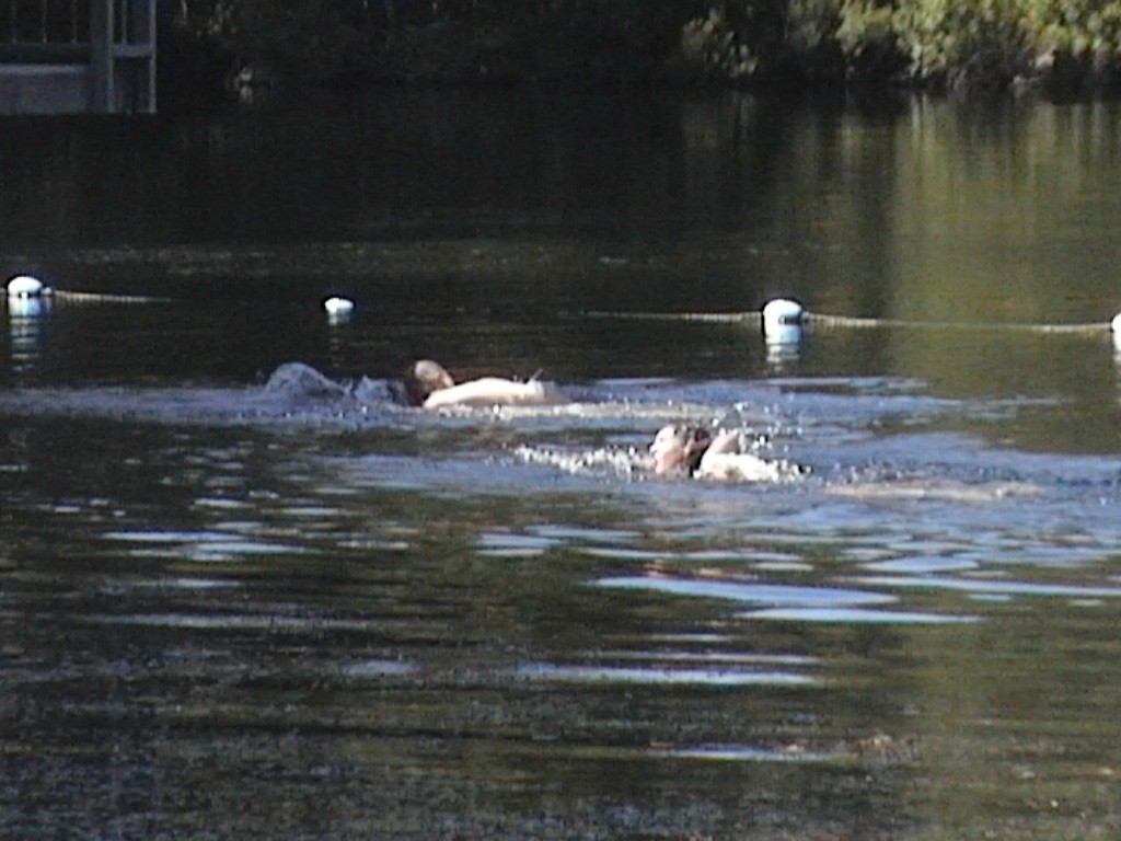 DVC01406.jpg