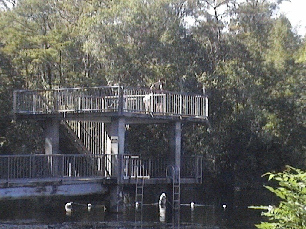 DVC01416.jpg