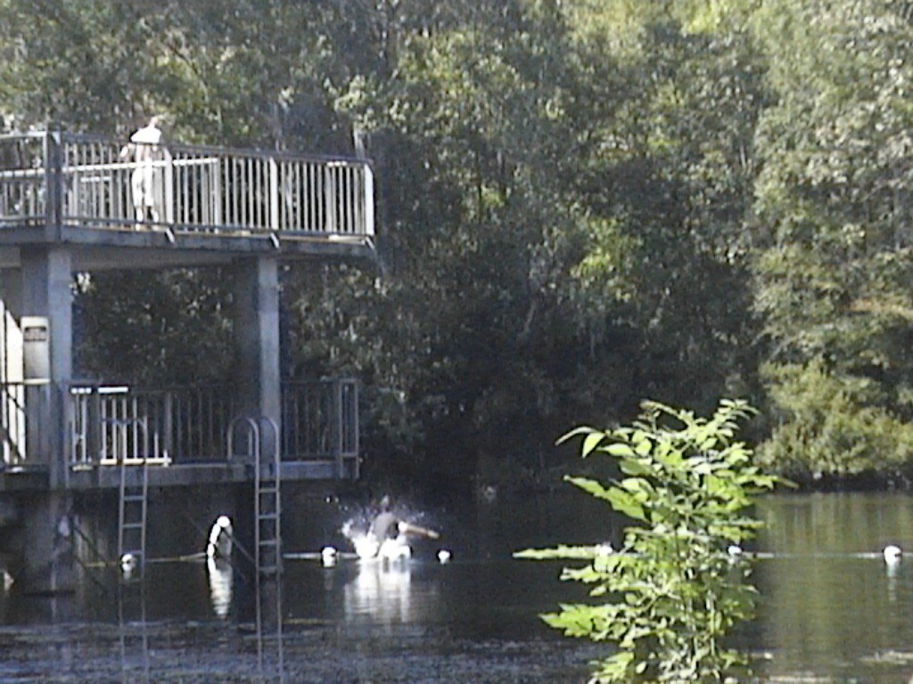 DVC01417.jpg