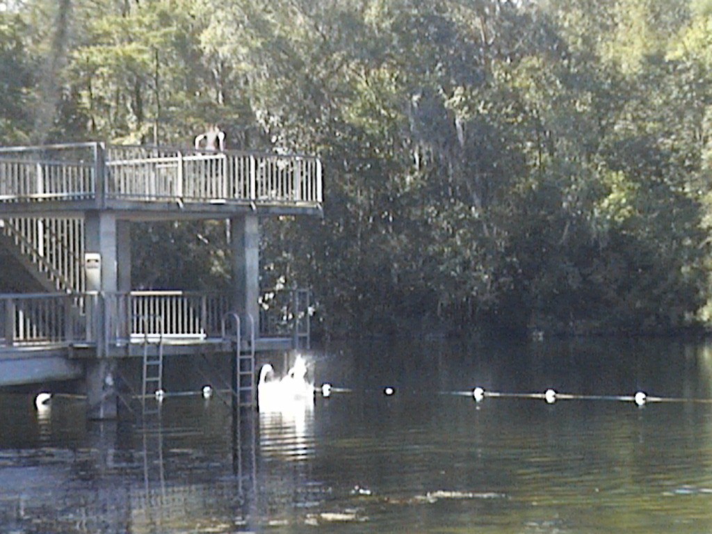 DVC01418.jpg