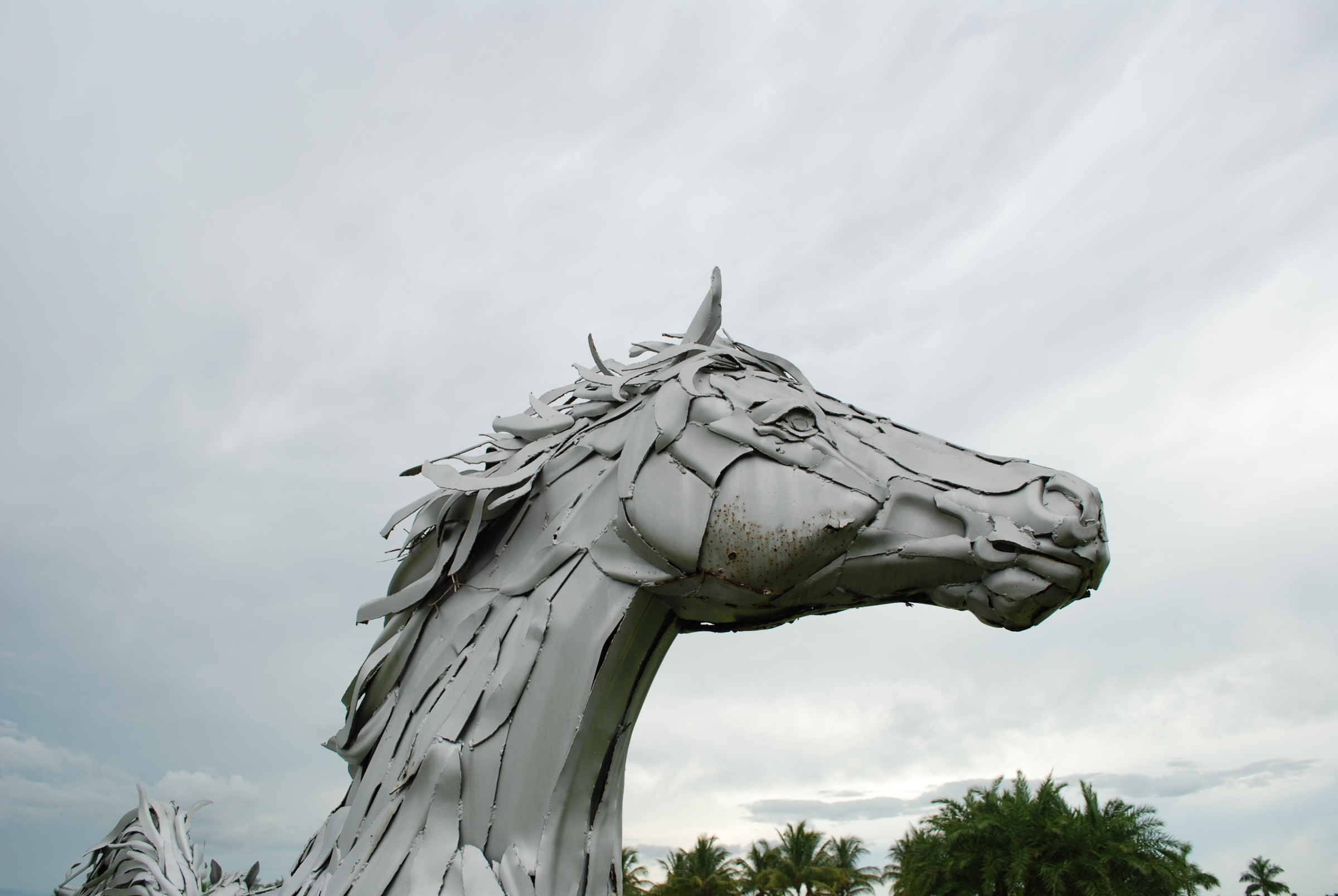 DSC_0033.jpg