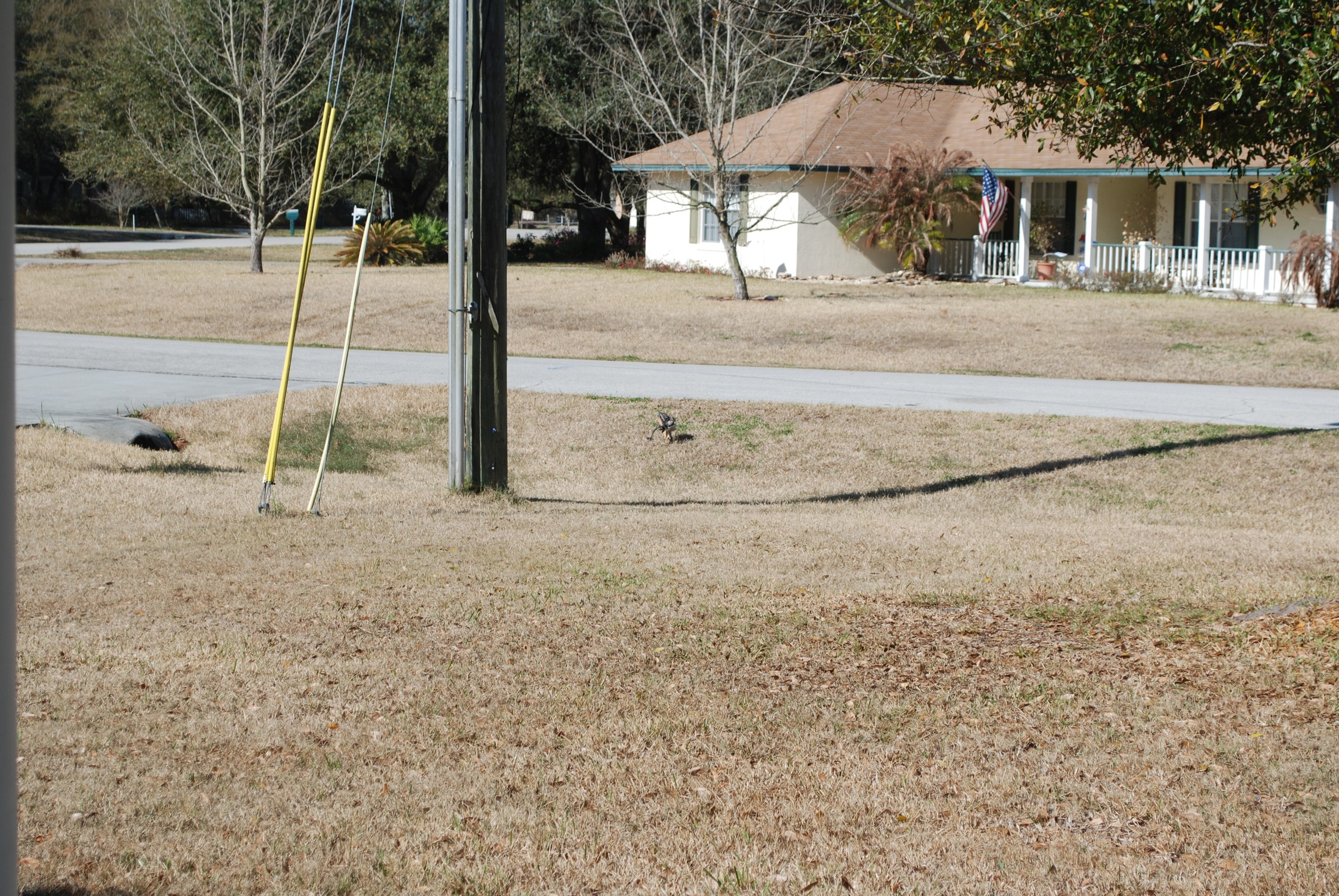 DSC_0277.jpg