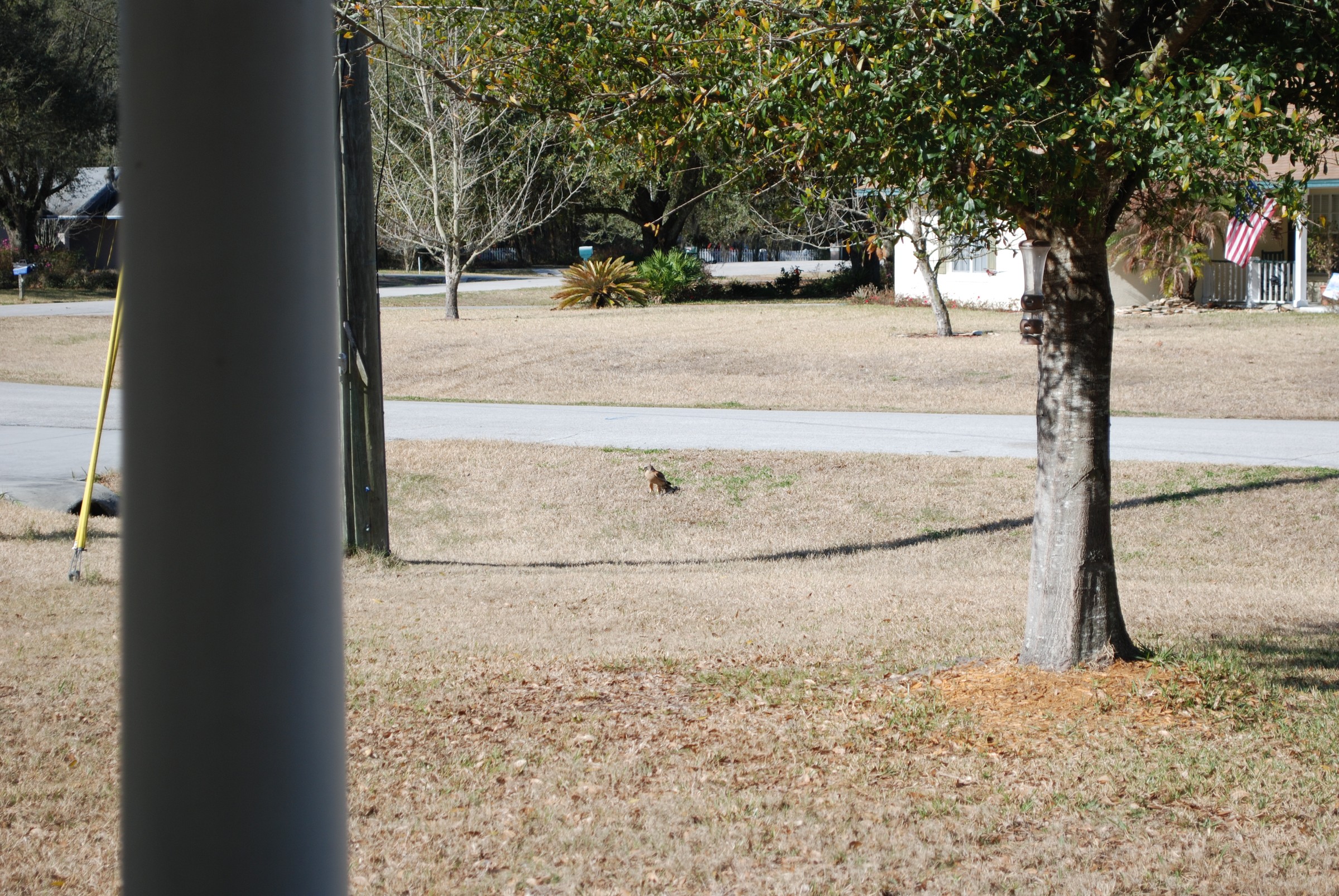 DSC_0278.jpg