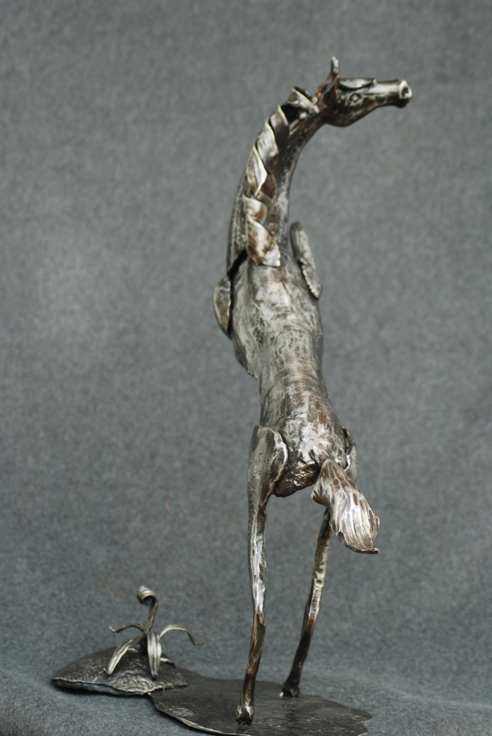 DSC_0387.jpg