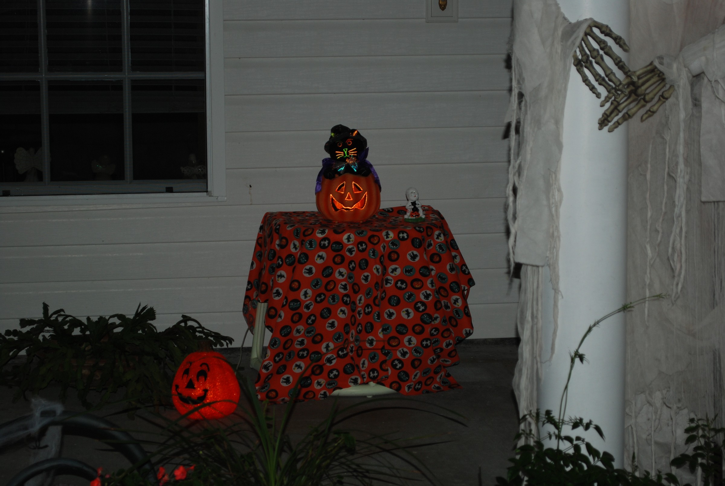 DSC_0525.jpg