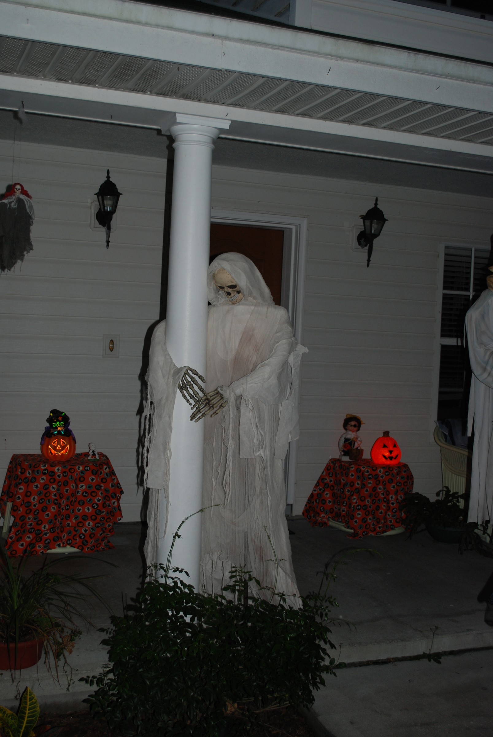 DSC_0526.jpg