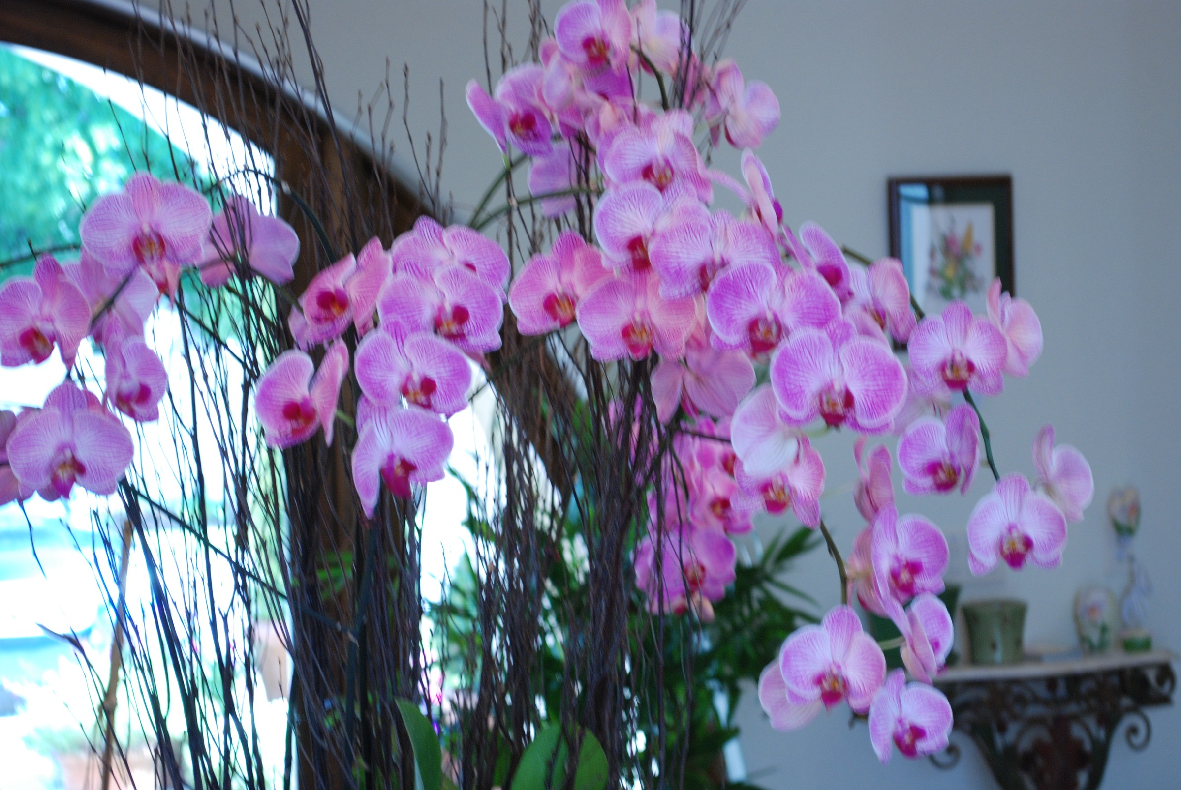 DSC_0027.jpg