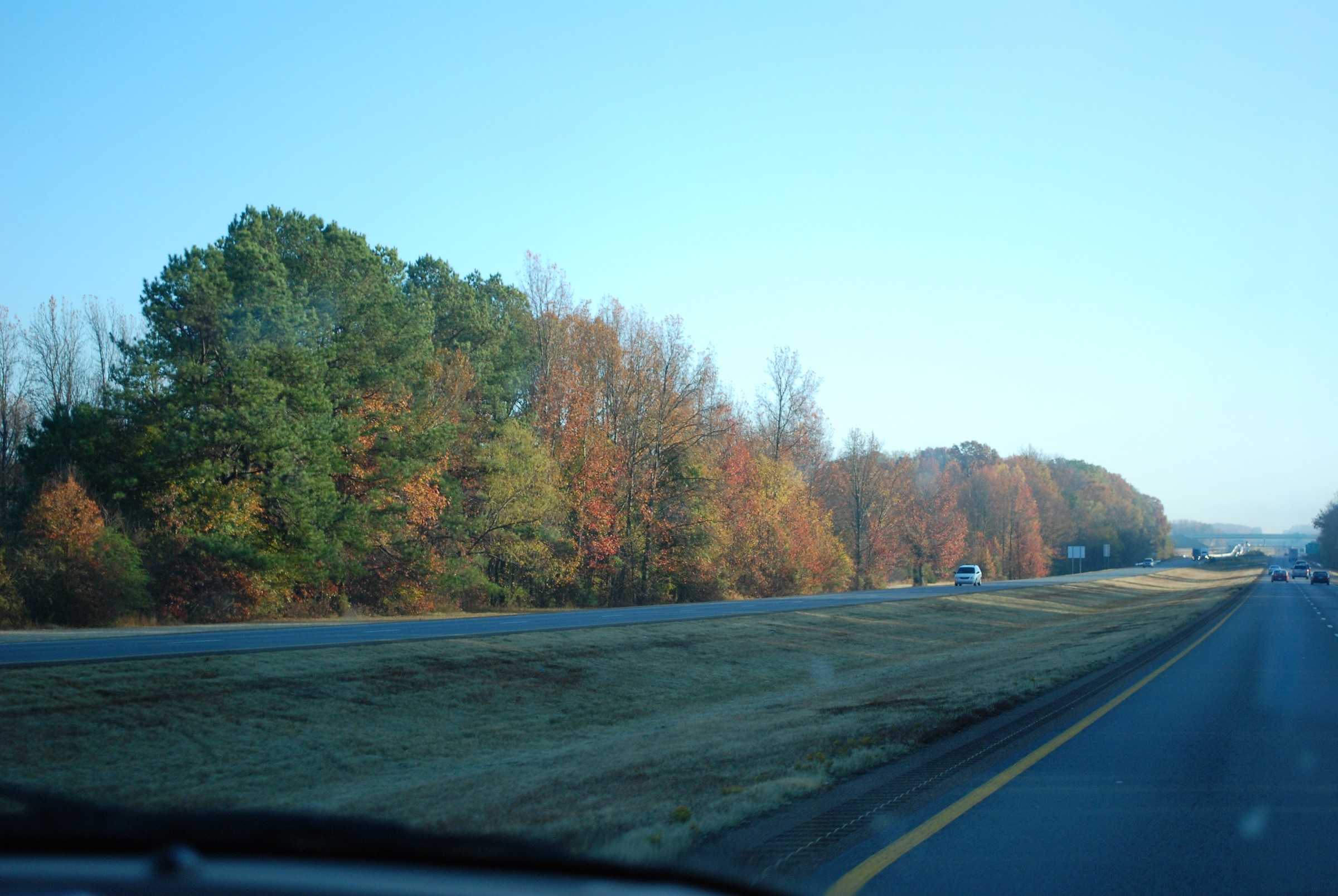 DSC_0261.jpg