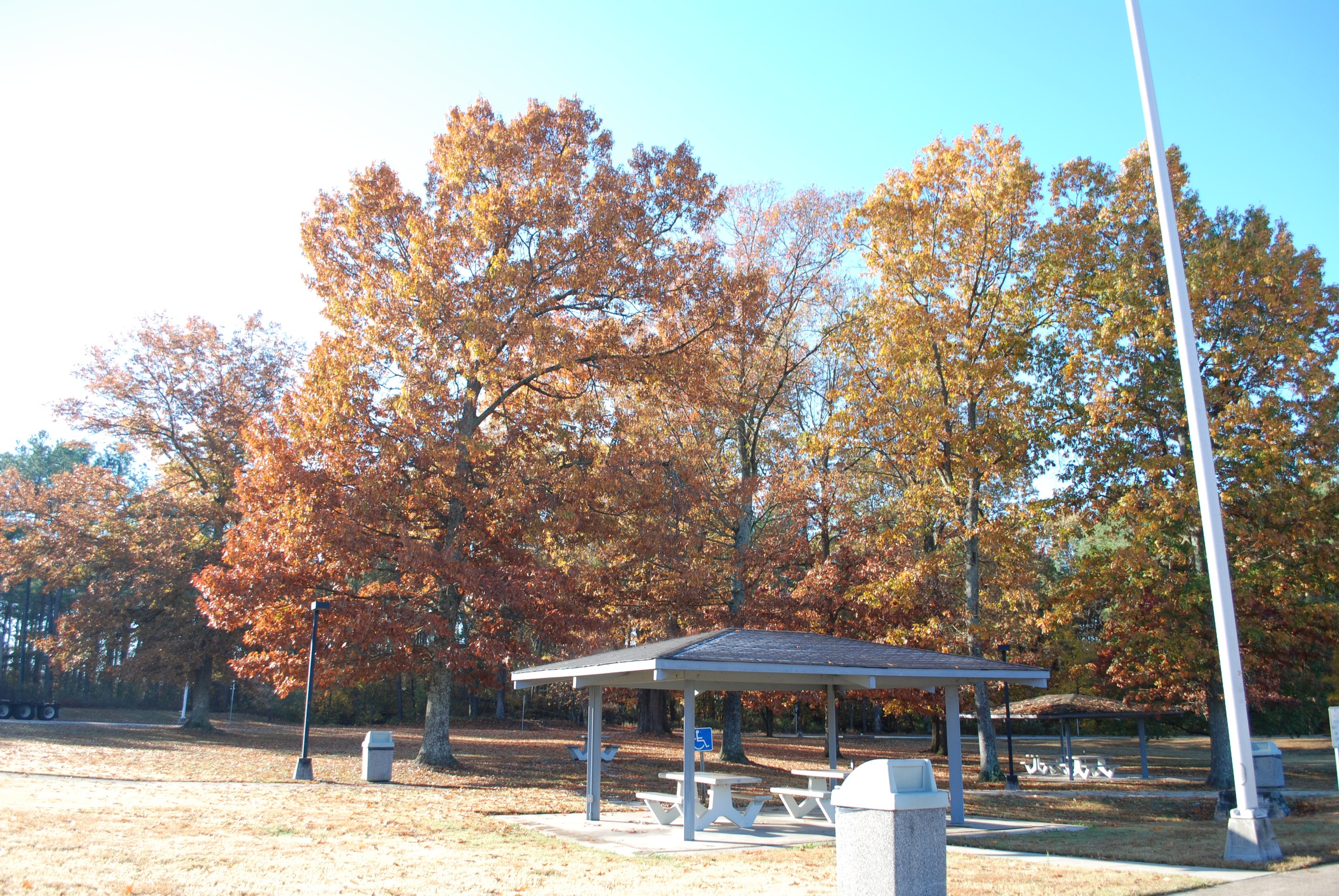 DSC_0267.jpg