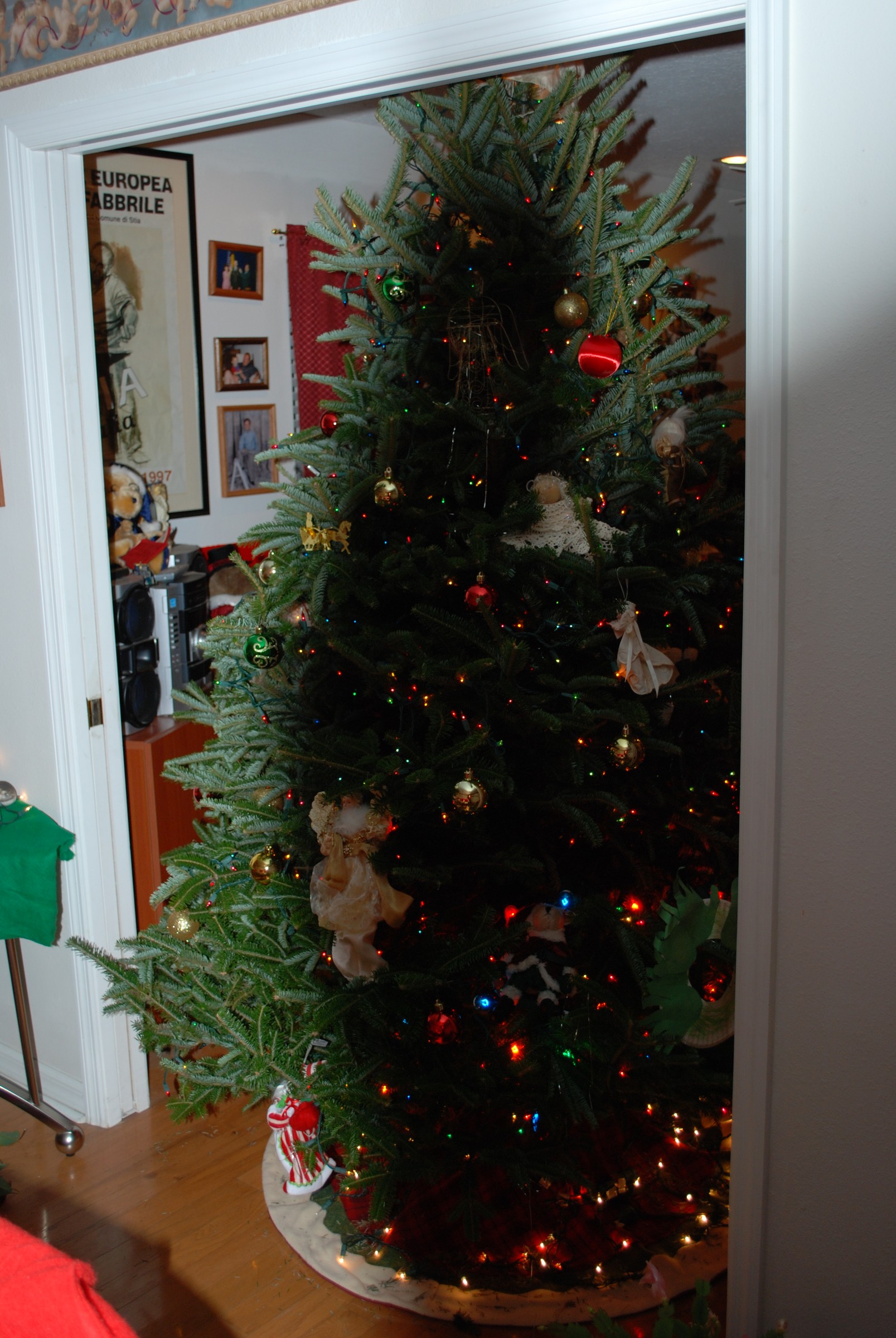 DSC_0287.jpg