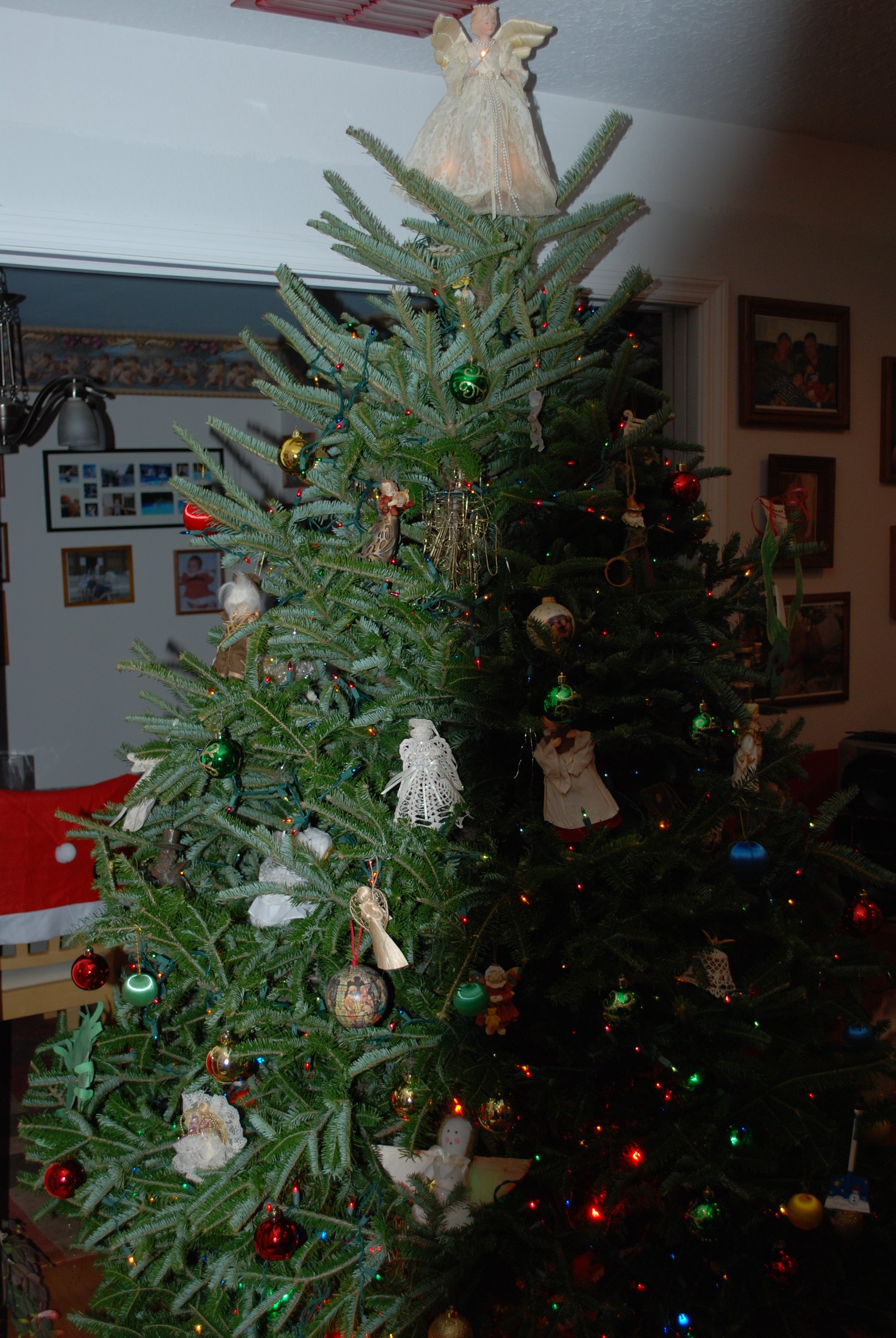DSC_0289.jpg