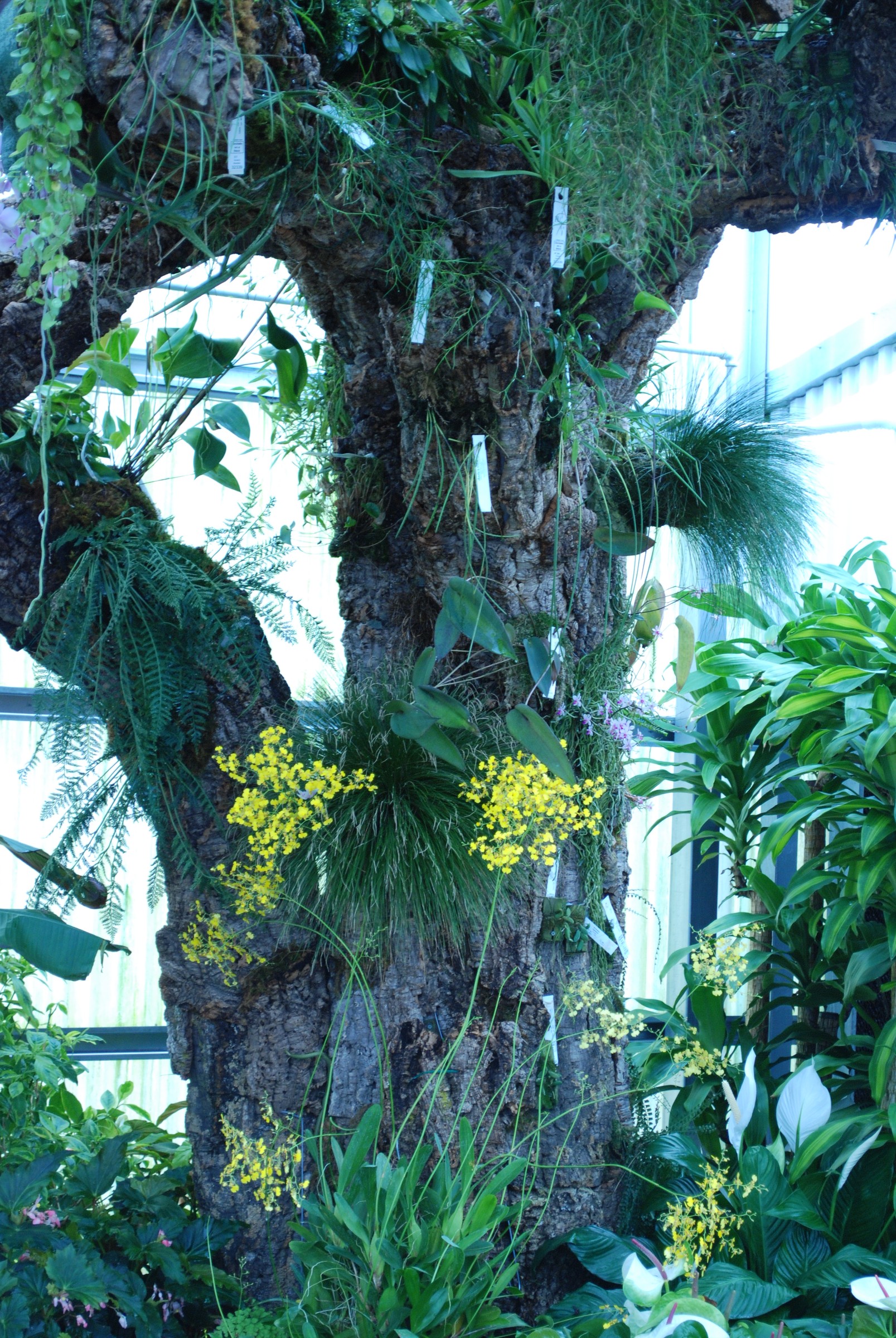 DSC_0025.jpg