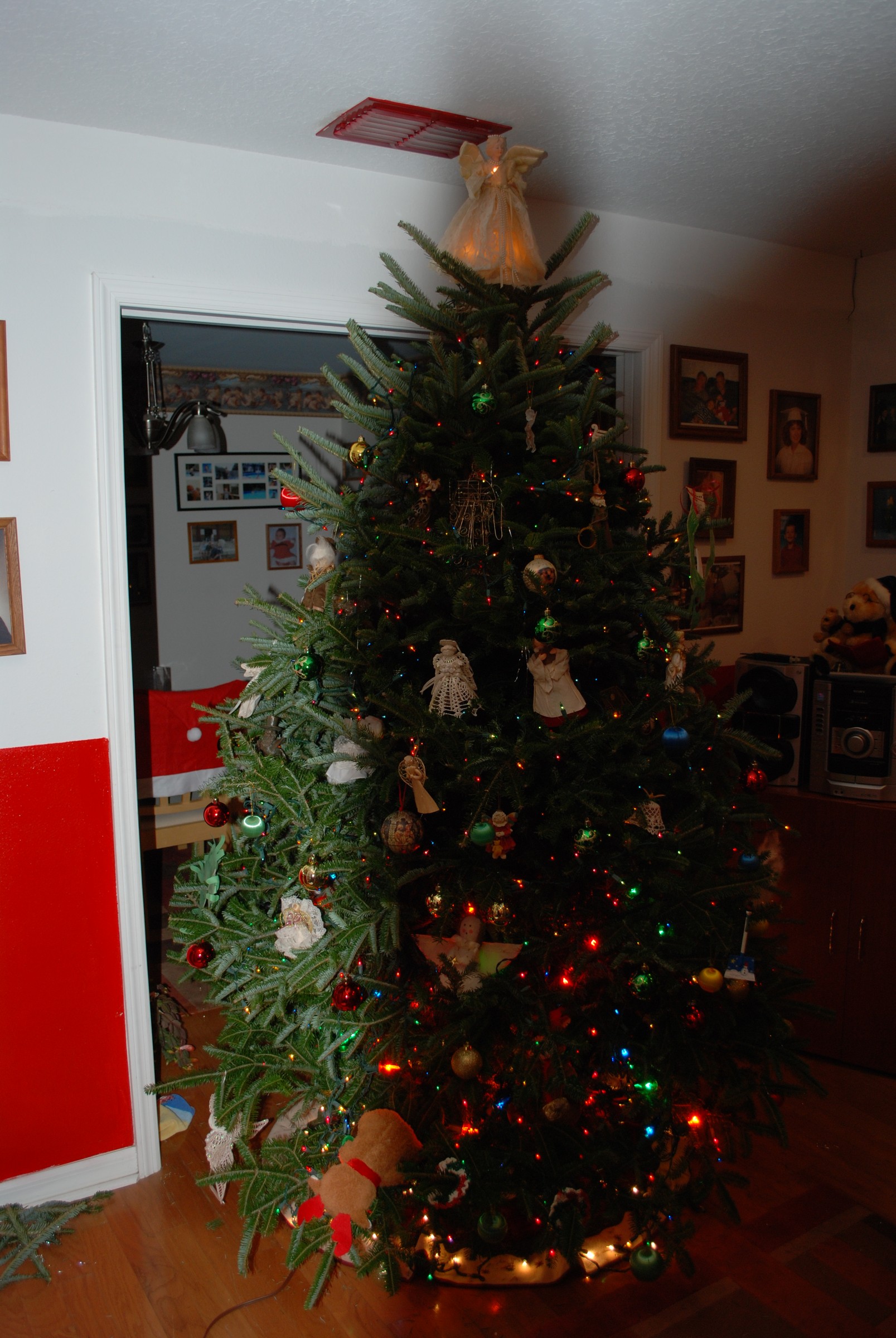 DSC_0288.jpg