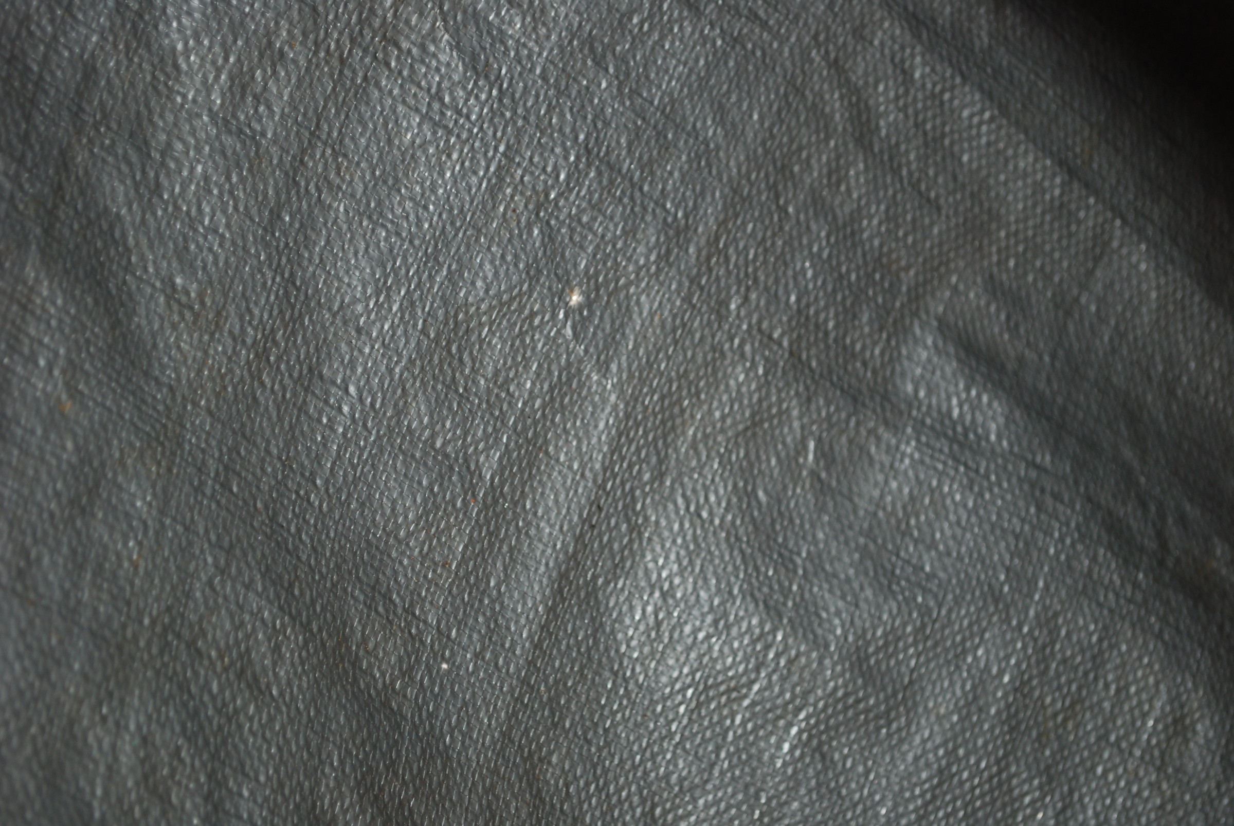 DSC_0656.jpg