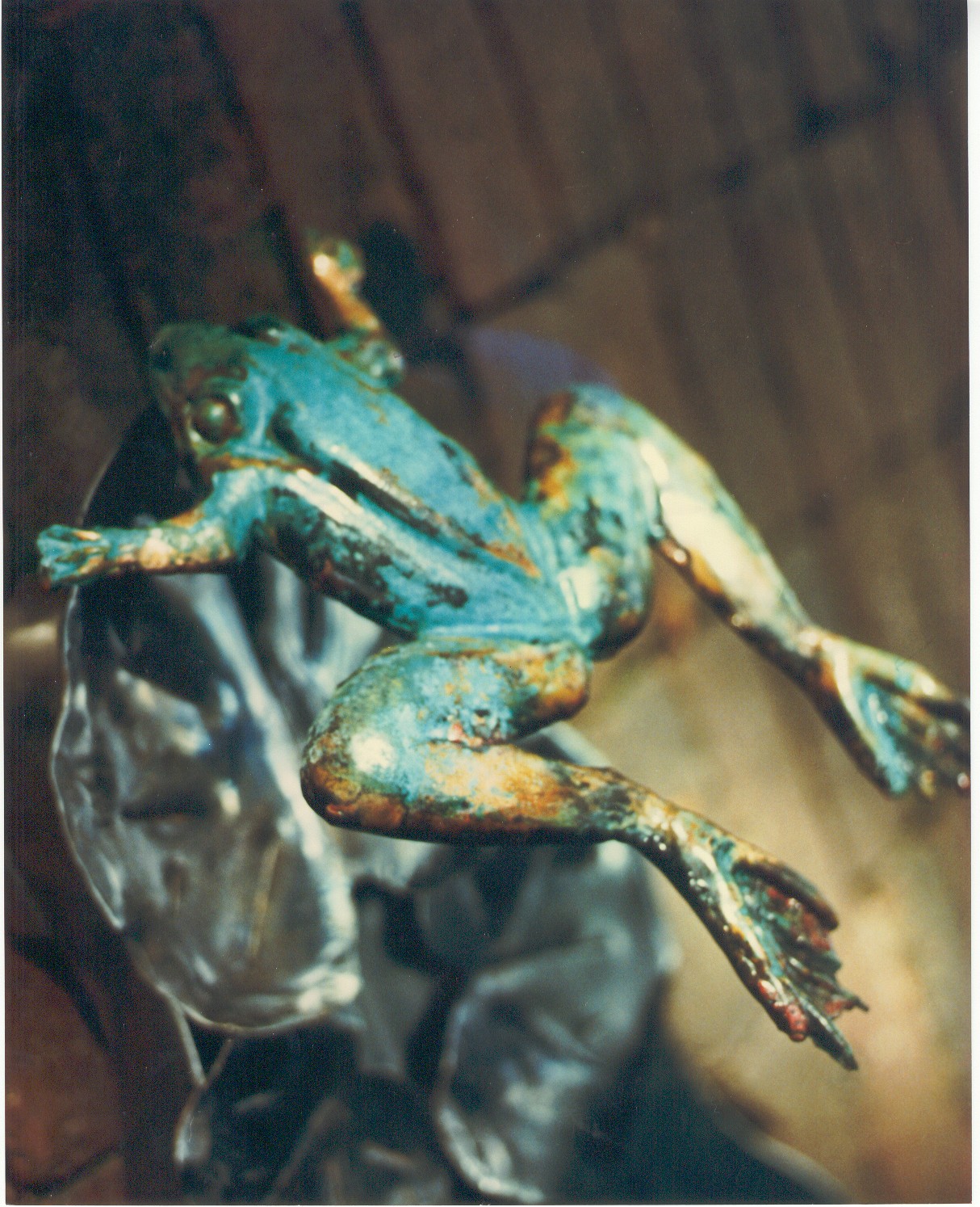 frog1214.bmp