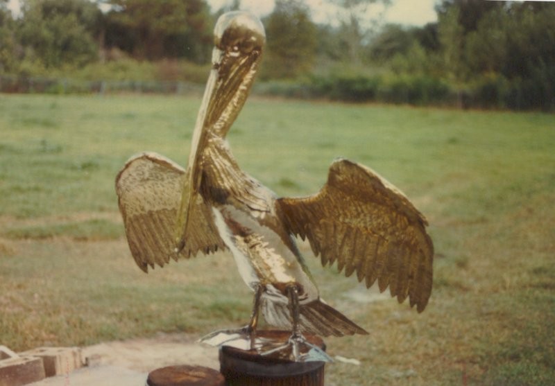 pelican800.jpg