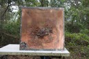 Nager_unedited_3144.jpg