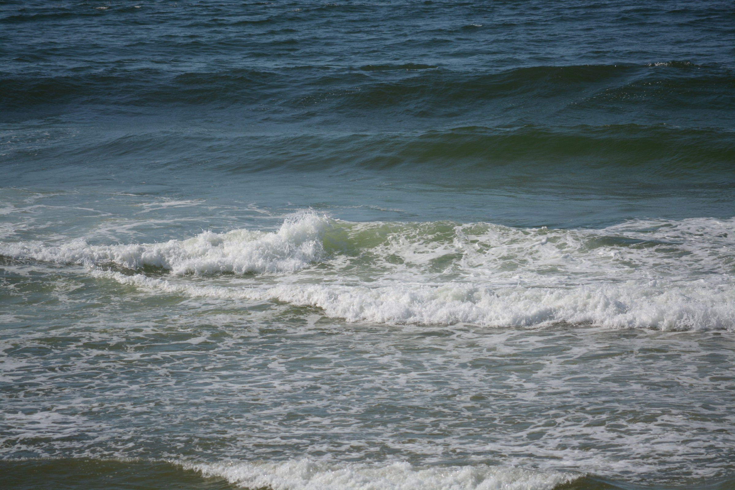 DSC_0205.JPG